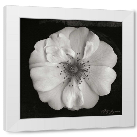 Classic Beauty Square White Modern Wood Framed Art Print by Geyman, Vitaly