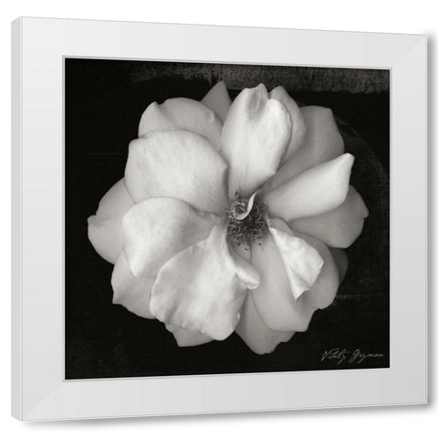 Wild Rose Square White Modern Wood Framed Art Print by Geyman, Vitaly