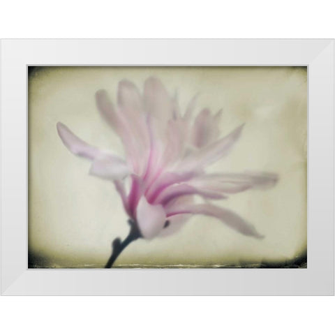 Floral Dreams I White Modern Wood Framed Art Print by Geyman, Vitaly