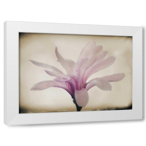 Floral Dreams II White Modern Wood Framed Art Print by Geyman, Vitaly