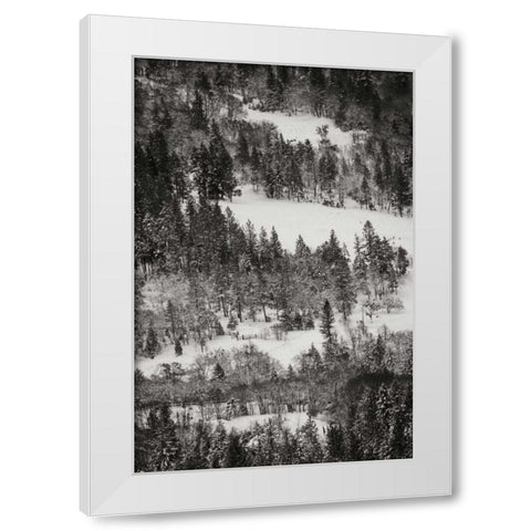 Winter Mosaic I White Modern Wood Framed Art Print by Geyman, Vitaly