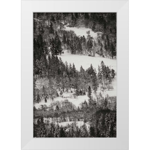 Winter Mosaic I White Modern Wood Framed Art Print by Geyman, Vitaly