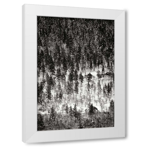 Winter Mosaic II White Modern Wood Framed Art Print by Geyman, Vitaly