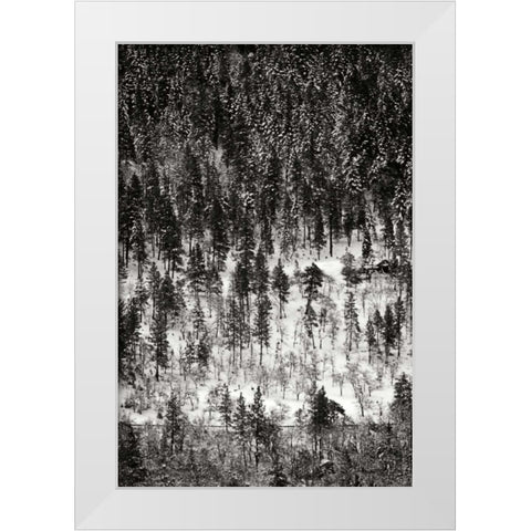 Winter Mosaic II White Modern Wood Framed Art Print by Geyman, Vitaly