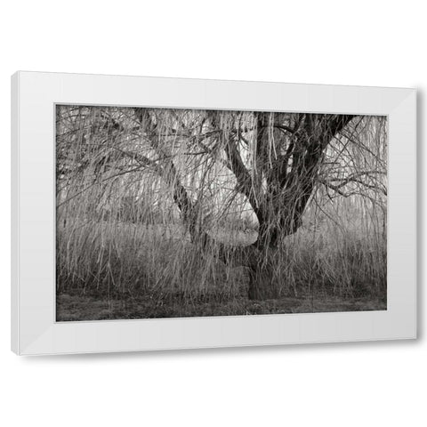 Winters Palace V BandW White Modern Wood Framed Art Print by Geyman, Vitaly