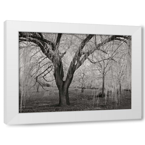 Winters Palace VI BandW White Modern Wood Framed Art Print by Geyman, Vitaly
