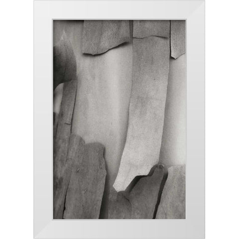 Madrone Mosaic I White Modern Wood Framed Art Print by Geyman, Vitaly