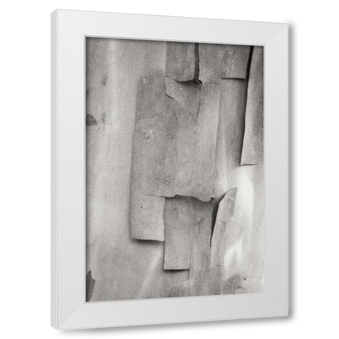 Madrone Mosaic II White Modern Wood Framed Art Print by Geyman, Vitaly