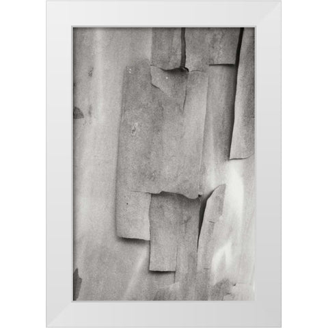 Madrone Mosaic II White Modern Wood Framed Art Print by Geyman, Vitaly
