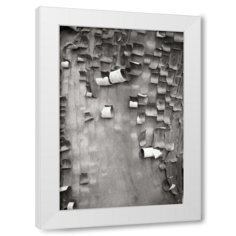 Menzanita Mosaic I White Modern Wood Framed Art Print by Geyman, Vitaly