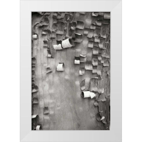 Menzanita Mosaic I White Modern Wood Framed Art Print by Geyman, Vitaly