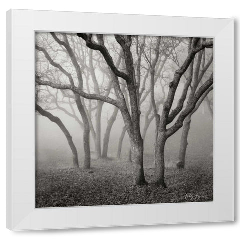 Misty Dance Sq White Modern Wood Framed Art Print by Vitaly, Geyman