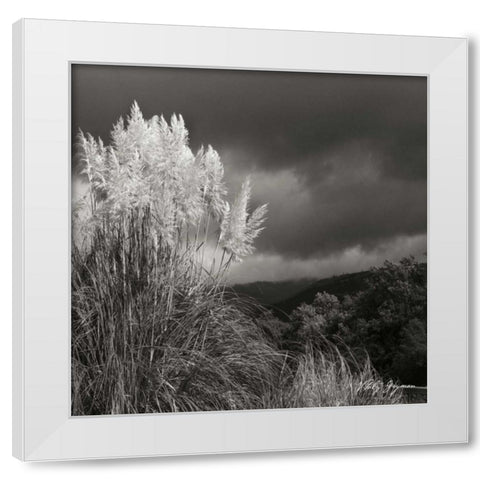 White Towers III BW White Modern Wood Framed Art Print by Vitaly, Geyman