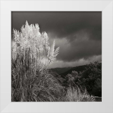 White Towers III BW White Modern Wood Framed Art Print by Vitaly, Geyman