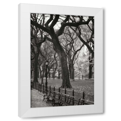 Central Park Dancers II White Modern Wood Framed Art Print by Vitaly, Geyman