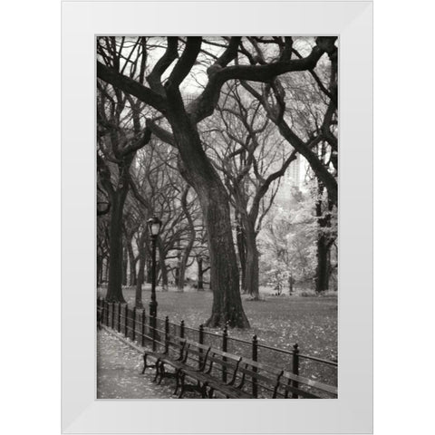 Central Park Dancers II White Modern Wood Framed Art Print by Vitaly, Geyman