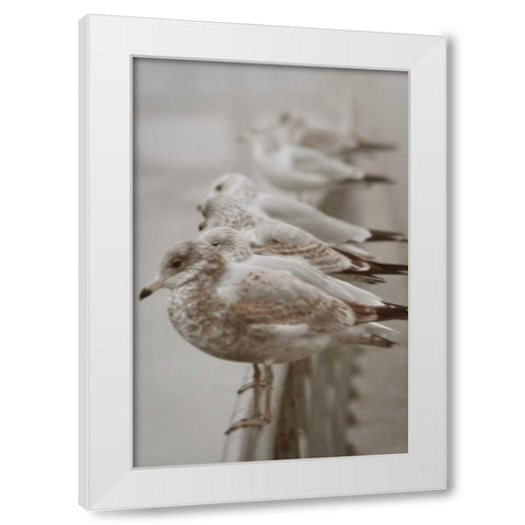 Seagul Paradise I White Modern Wood Framed Art Print by Vitaly, Geyman