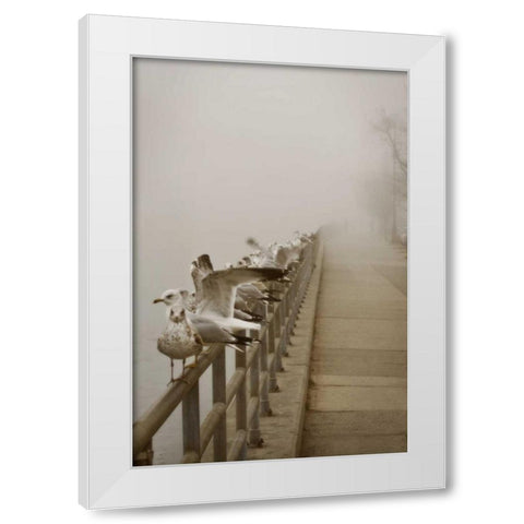 Seagul Paradise II White Modern Wood Framed Art Print by Vitaly, Geyman