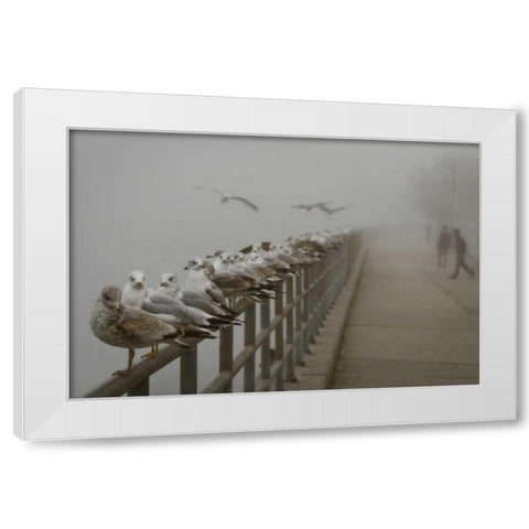 Seagul Paradise III White Modern Wood Framed Art Print by Vitaly, Geyman