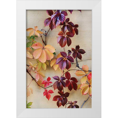 Vine Leaf Romance I White Modern Wood Framed Art Print by Vitaly, Geyman