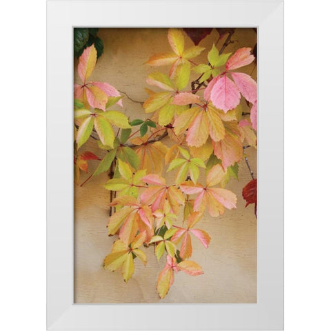Vine Leaf Romance II White Modern Wood Framed Art Print by Vitaly, Geyman