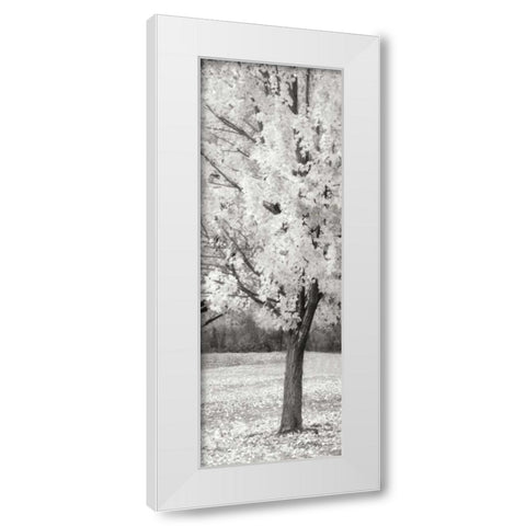 Splash of Color III BW White Modern Wood Framed Art Print by Geyman, Vitaly