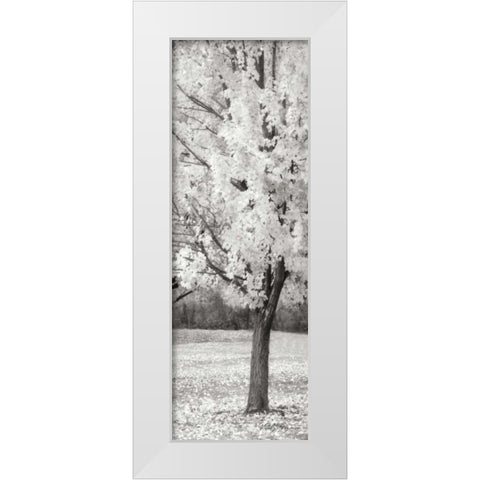 Splash of Color III BW White Modern Wood Framed Art Print by Geyman, Vitaly