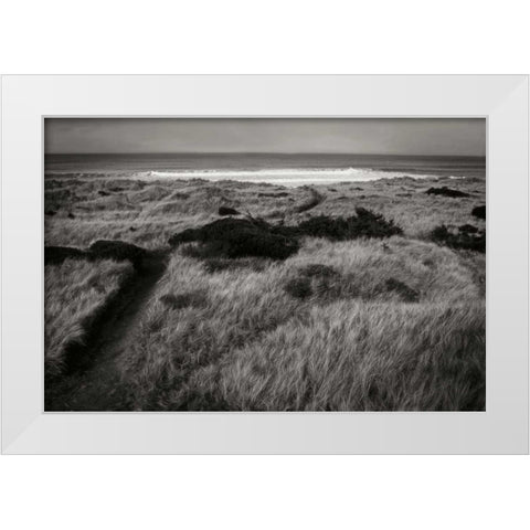 Coastal Spirit II White Modern Wood Framed Art Print by Geyman, Vitaly