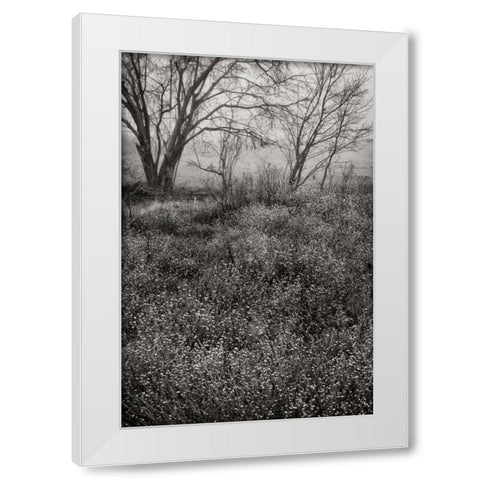 Country Serenity I White Modern Wood Framed Art Print by Geyman, Vitaly