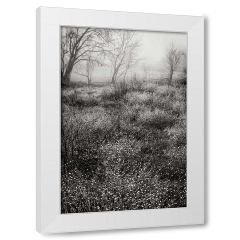 Country Serenity II White Modern Wood Framed Art Print by Geyman, Vitaly