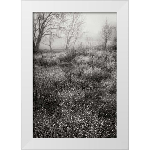 Country Serenity II White Modern Wood Framed Art Print by Geyman, Vitaly