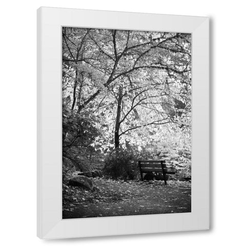 Fall Abundance I B and W White Modern Wood Framed Art Print by Geyman, Vitaly