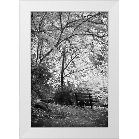 Fall Abundance I B and W White Modern Wood Framed Art Print by Geyman, Vitaly