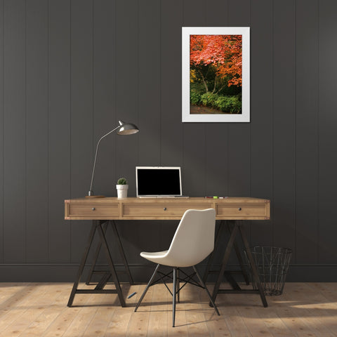 Fall Abundance IV White Modern Wood Framed Art Print by Geyman, Vitaly