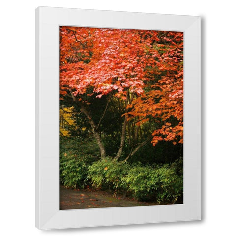 Fall Abundance IV White Modern Wood Framed Art Print by Geyman, Vitaly
