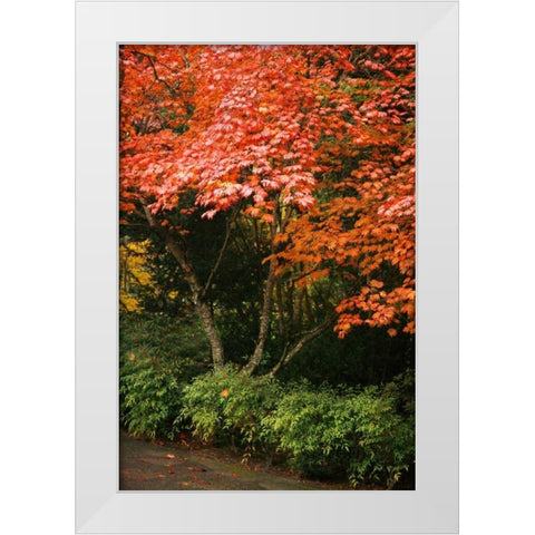 Fall Abundance IV White Modern Wood Framed Art Print by Geyman, Vitaly