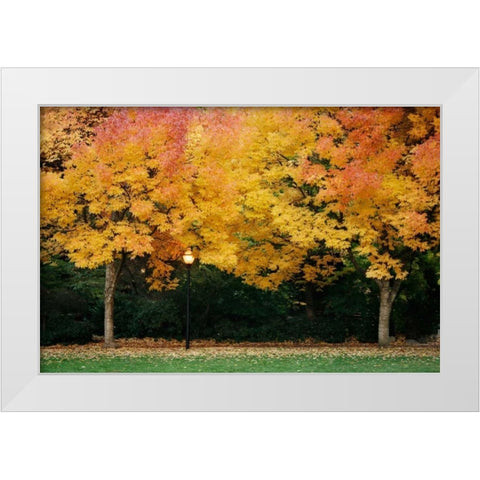 Fall Abundance V White Modern Wood Framed Art Print by Geyman, Vitaly