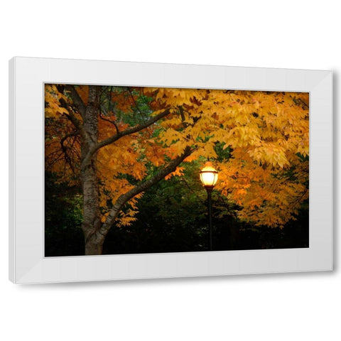 Fall Abundance VIII White Modern Wood Framed Art Print by Geyman, Vitaly