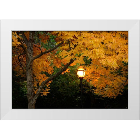 Fall Abundance VIII White Modern Wood Framed Art Print by Geyman, Vitaly