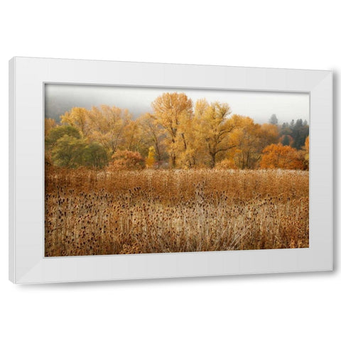 Field of Gold II White Modern Wood Framed Art Print by Geyman, Vitaly
