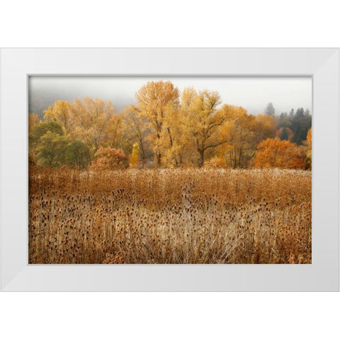 Field of Gold II White Modern Wood Framed Art Print by Geyman, Vitaly