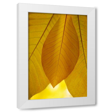 Golden Leafs I White Modern Wood Framed Art Print by Geyman, Vitaly