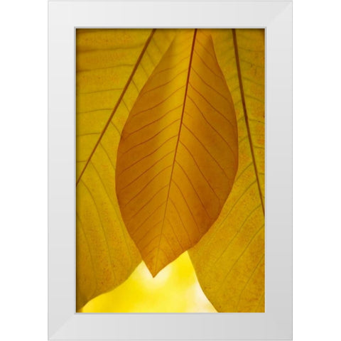 Golden Leafs I White Modern Wood Framed Art Print by Geyman, Vitaly