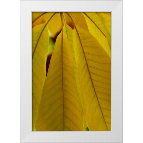 Golden Leafs II White Modern Wood Framed Art Print by Geyman, Vitaly
