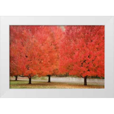 Fall Beauty II White Modern Wood Framed Art Print by Geyman, Vitaly