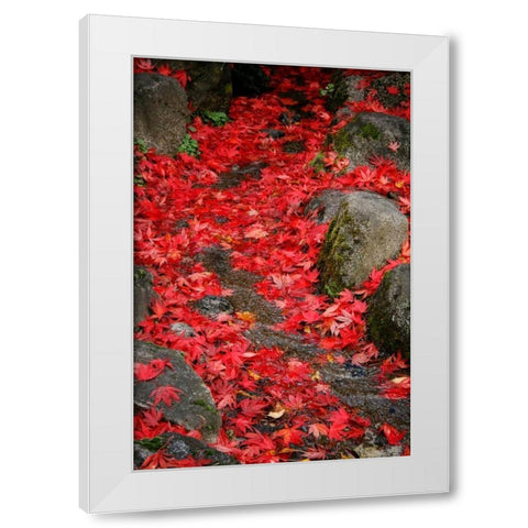Fall Mandala II White Modern Wood Framed Art Print by Geyman, Vitaly