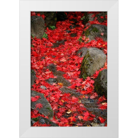 Fall Mandala II White Modern Wood Framed Art Print by Geyman, Vitaly