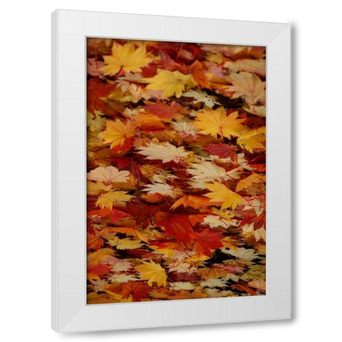 Fall Mandala III White Modern Wood Framed Art Print by Geyman, Vitaly