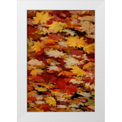 Fall Mandala III White Modern Wood Framed Art Print by Geyman, Vitaly