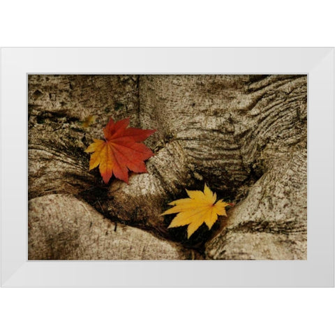 Ancient Beauty White Modern Wood Framed Art Print by Geyman, Vitaly
